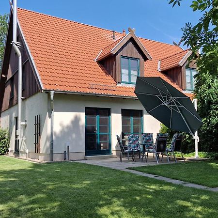 Ferienhaus Hase Villa Burg  Exteriör bild