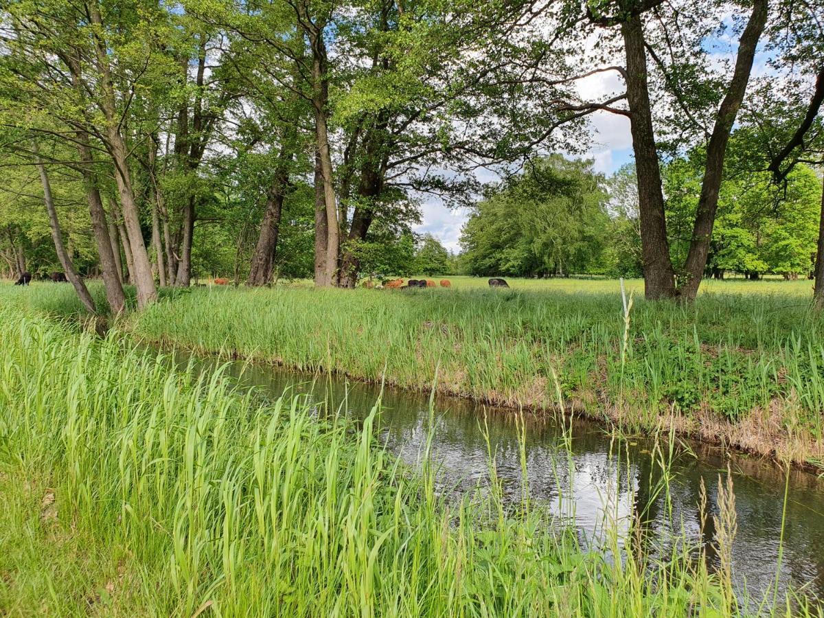 Ferienhaus Hase Villa Burg  Exteriör bild